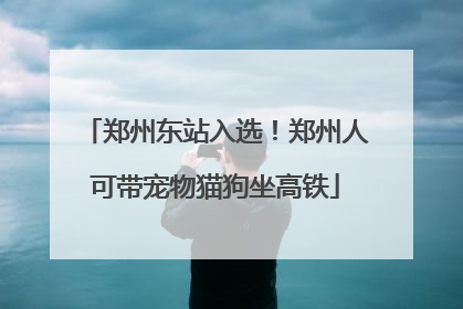郑州东站入选！郑州人可带宠物猫狗坐高铁
