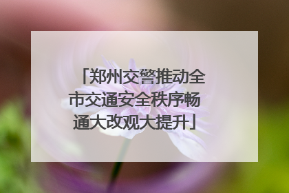 郑州交警推动全市交通安全秩序畅通大改观大提升