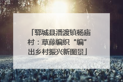 郓城县潘渡镇杨庙村：草藤编织“编”出乡村振兴新图景