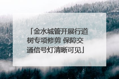 金水城管开展行道树专项修剪 保障交通信号灯清晰可见