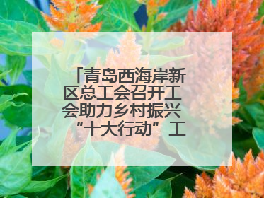 青岛西海岸新区总工会召开工会助力乡村振兴“十大行动”工作推进会议