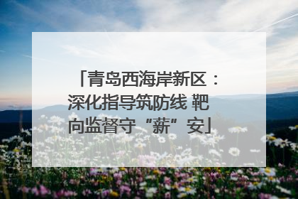青岛西海岸新区：深化指导筑防线 靶向监督守“薪”安