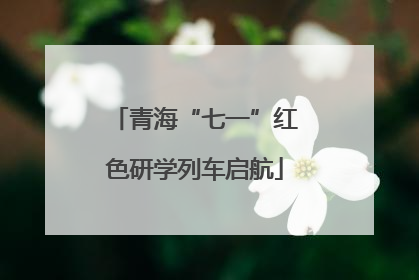 青海“七一”红色研学列车启航