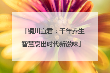 铜川宜君：千年养生智慧烹出时代新滋味