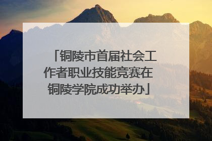 铜陵市首届社会工作者职业技能竞赛在铜陵学院成功举办