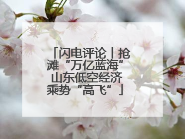 闪电评论丨抢滩“万亿蓝海” 山东低空经济乘势“高飞”