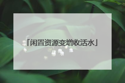 闲置资源变增收活水