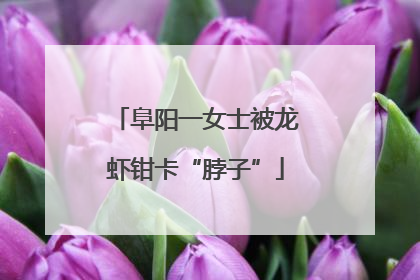 阜阳一女士被龙虾钳卡“脖子”