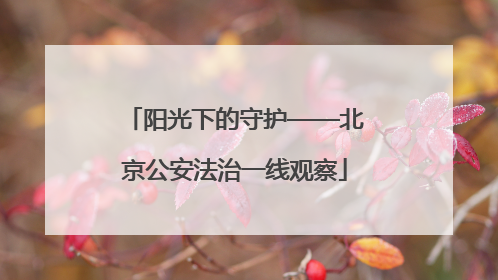 阳光下的守护——北京公安法治一线观察