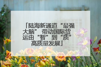 陆海新通道“最强大脑” 带动国际货运由“智”到“质”高质量发展
