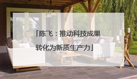 陈飞：推动科技成果转化为新质生产力