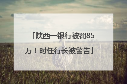 陕西一银行被罚85万！时任行长被警告