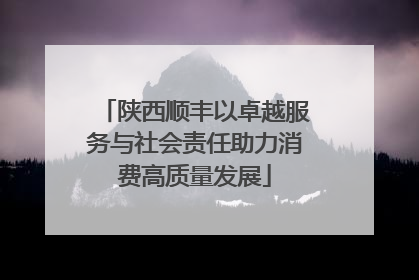 陕西顺丰以卓越服务与社会责任助力消费高质量发展