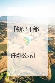 领导干部任前公示