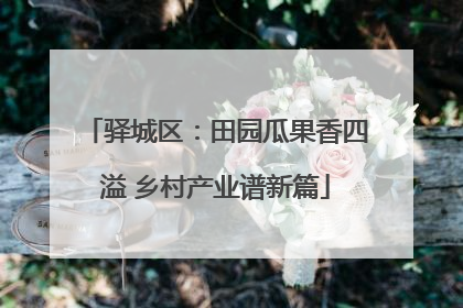 驿城区：田园瓜果香四溢 乡村产业谱新篇