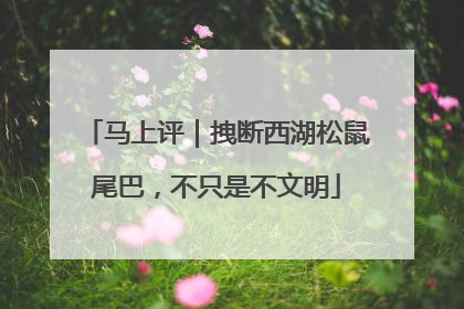 马上评｜拽断西湖松鼠尾巴，不只是不文明