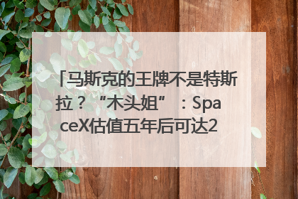 马斯克的王牌不是特斯拉？“木头姐”：SpaceX估值五年后可达2.5万亿美元！