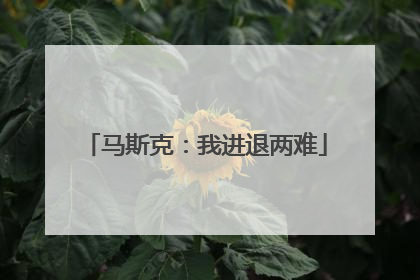马斯克：我进退两难
