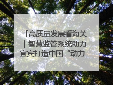 高质量发展看海关｜智慧监管系统助力宜宾打造中国“动力电池之都”