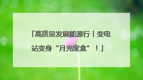高质量发展能源行丨变电站变身“月光宝盒”！