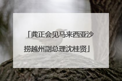 龚正会见马来西亚沙捞越州副总理沈桂贤