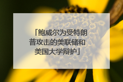 鲍威尔为受特朗普攻击的美联储和美国大学辩护