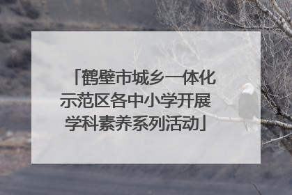 鹤壁市城乡一体化示范区各中小学开展学科素养系列活动