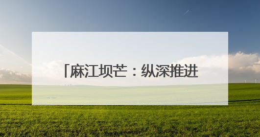 麻江坝芒：纵深推进“两清两改两治理”绘就乡村振兴新图景