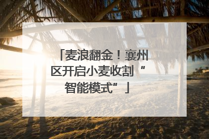麦浪翻金！襄州区开启小麦收割“智能模式”