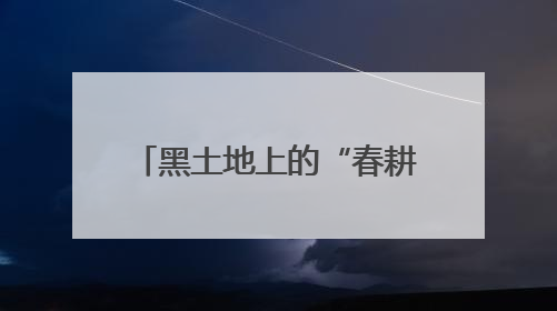 黑土地上的“春耕芯片”：“吉科稻518”的育种传奇