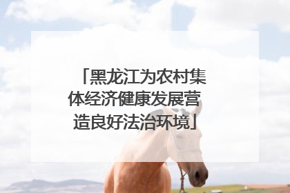 黑龙江为农村集体经济健康发展营造良好法治环境