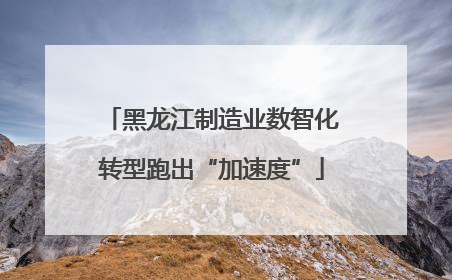 黑龙江制造业数智化转型跑出“加速度”
