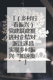 （乡村行·看振兴）党建联建推进村企结对 浙江遂昌实现乡村振兴“加速度”