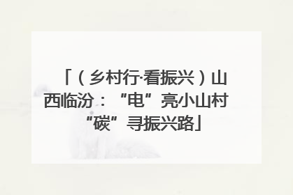 （乡村行·看振兴）山西临汾：“电”亮小山村 “碳”寻振兴路