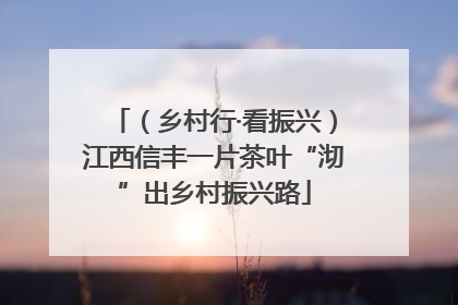 （乡村行·看振兴）江西信丰一片茶叶“沏”出乡村振兴路