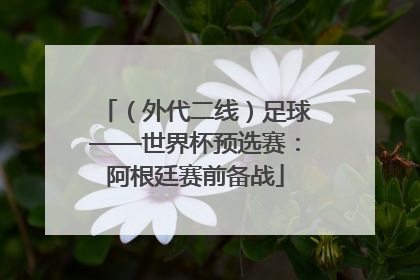 （外代二线）足球——世界杯预选赛：阿根廷赛前备战