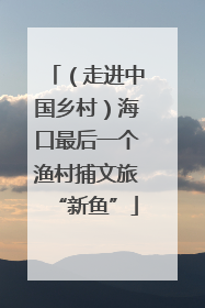 （走进中国乡村）海口最后一个渔村捕文旅“新鱼”