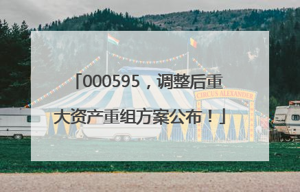 000595，调整后重大资产重组方案公布！