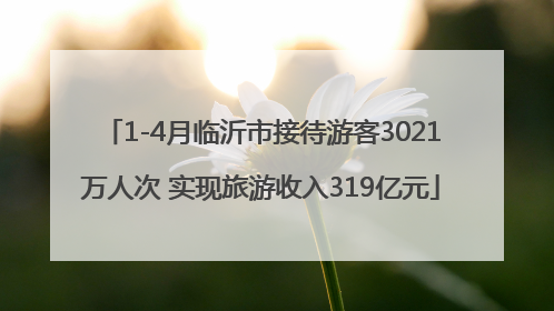 1-4月临沂市接待游客3021万人次 实现旅游收入319亿元