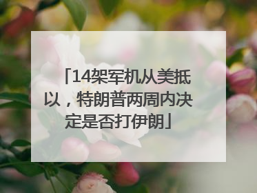 14架军机从美抵以，特朗普两周内决定是否打伊朗