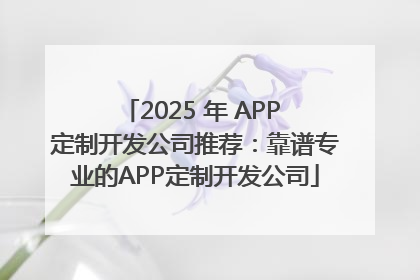 2025 年 APP 定制开发公司推荐：靠谱专业的APP定制开发公司