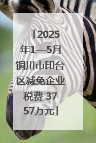 2025年1—5月铜川市印台区减免企业税费 3757万元