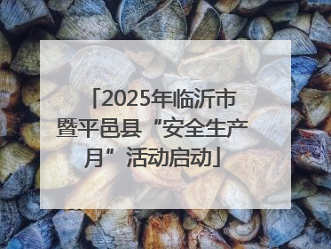 2025年临沂市暨平邑县“安全生产月”活动启动