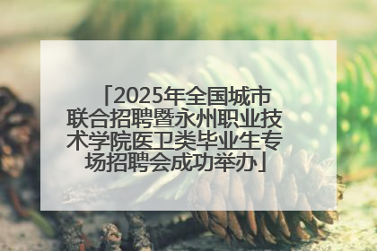 2025年全国城市联合招聘暨永州职业技术学院医卫类毕业生专场招聘会成功举办