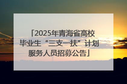 2025年青海省高校毕业生“三支一扶”计划服务人员招募公告