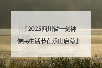 2025四川省一刻钟便民生活节在乐山启幕
