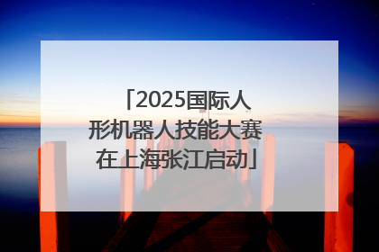2025国际人形机器人技能大赛在上海张江启动