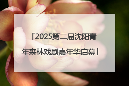 2025第二届沈阳青年森林戏剧嘉年华启幕