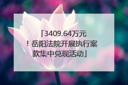3409.64万元！岳阳法院开展执行案款集中兑现活动