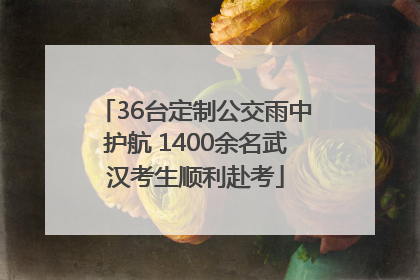 36台定制公交雨中护航 1400余名武汉考生顺利赴考